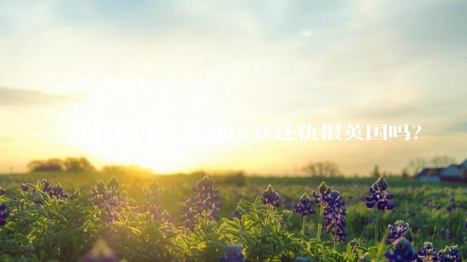 现在爱尔兰普通民众还仇恨英国吗？
