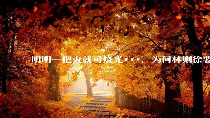 明明一把火就可烧光***，为何林则徐要劳神费力用海水浸泡？
