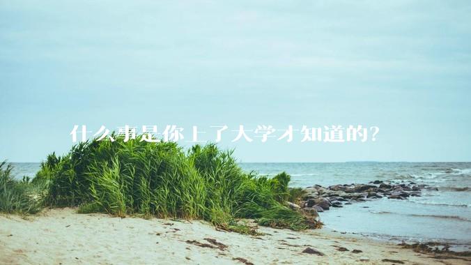 什么事是你上了大学才知道的？
