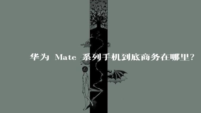 华为 Mate 系列手机到底商务在哪里？
